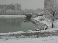 /album/nevicata-22-febbraio1/a20130222-163736-jpg1/