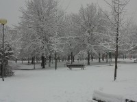 /album/nevicata-22-febbraio1/a20130222-164005-jpg1/